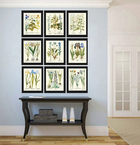 Wildflowers Botanical Prints Set Wall Art of 9 Beautiful Flowers Outdoor Nature Antique Vintage Chamomile Valerian Iris Decor to Frame BESL