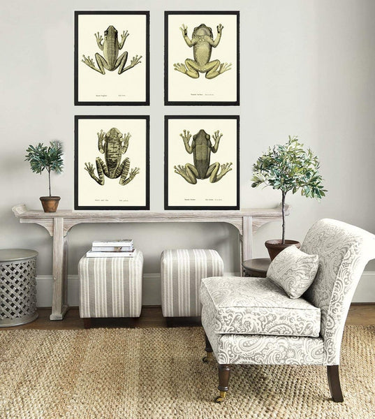 Vintage Frog Wall Art Set of 4 Prints Beautiful Antique Lake River Frogs Office Bathroom Playroom Child Boy Home Room Decor to Frame FROG