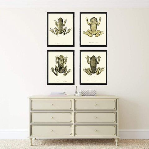 Vintage Frog Wall Art Set of 4 Prints Beautiful Antique Lake River Frogs Office Bathroom Playroom Child Boy Home Room Decor to Frame FROG