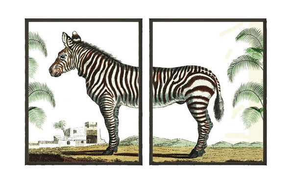 Zebra Wall Art Print Set of 2 Home Decor Tropical African Animal Black and White Stripe Painting Antique Vintage Home Decor to Frame GAN