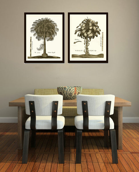 Palm Tree Print Botanical Wall Art Set of 2 Neutral Colors Beautiful Antique Vintage Beach Home Decor Illustration Picture to Frame GTHO