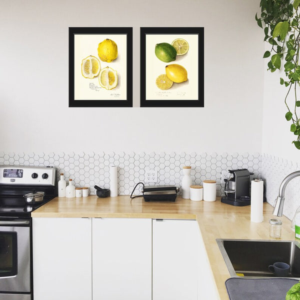 Vintage Lemon Lime Print Botanical Wall Art Set of 2 Beautiful Antique Tropical Citrus Fruit Dining Room Kitchen Home Decor to Frame POMO