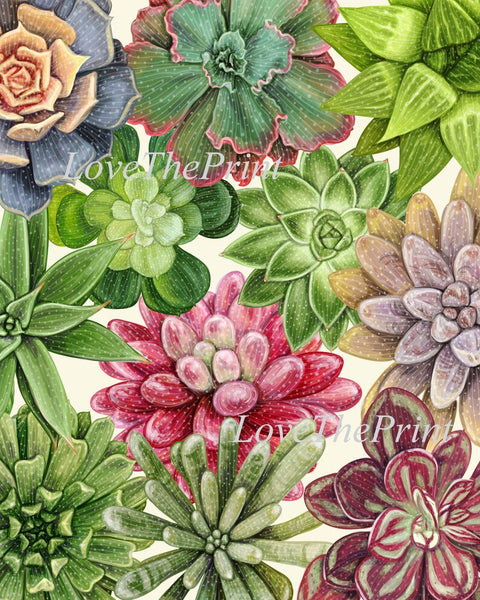 Succulent Plant Prints Wall Art Home Decor Set of 4 Beautiful Colorful Blue Green Pink Purple Tropical Picture Home Decor to Frame SUCC