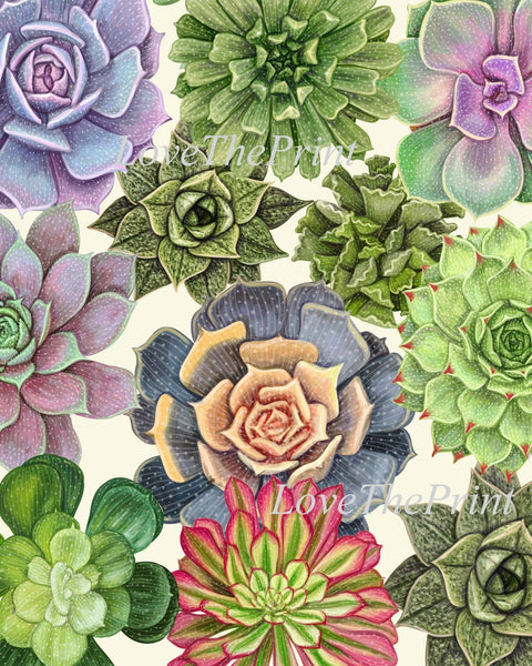 Succulent Plant Prints Wall Art Home Decor Set of 4 Beautiful Colorful Blue Green Pink Purple Tropical Picture Home Decor to Frame SUCC