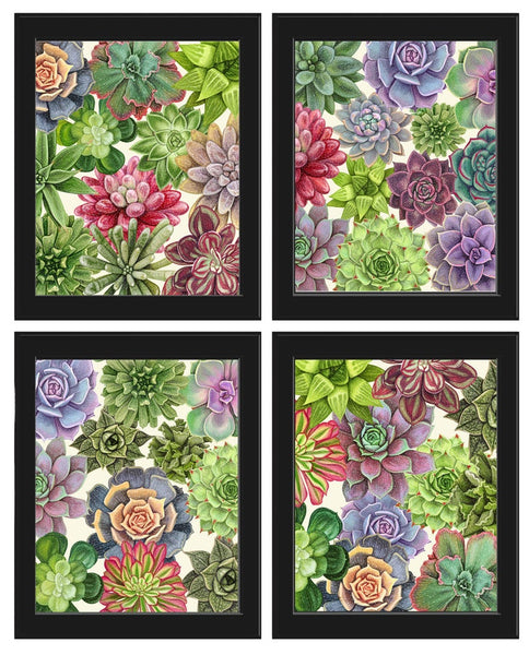 Succulent Plant Prints Wall Art Home Decor Set of 4 Beautiful Colorful Blue Green Pink Purple Tropical Picture Home Decor to Frame SUCC