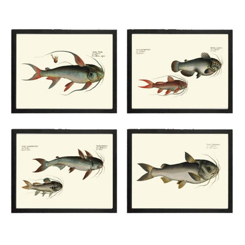 Vintage Catfish Wall Art Set of 4 Prints Beautiful Antique Vintage Lake Fishing Fisherman Cabin Lakehouse Mancave Home Decor to Frame BL