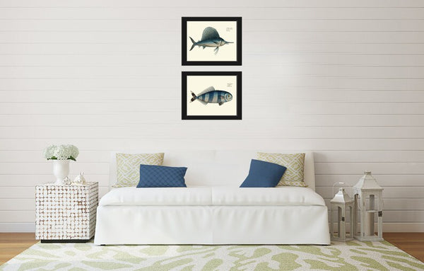Swordfish Wall Art Set of 2 Prints Beautiful Antique Vintage Blue Sea Ocean Beach House Marine Coastal Fishing Home Room Decor to Frame BL