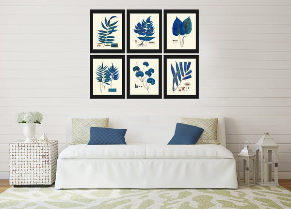 Vintage Blue Fern Print Wall Art Set of 6 Antique Bedroom Dining Room Office Bathroom Living Room Navy blue Interior Home Decor to Frame HWB