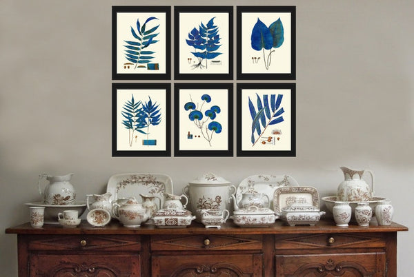 Vintage Blue Fern Print Wall Art Set of 6 Antique Bedroom Dining Room Office Bathroom Living Room Navy blue Interior Home Decor to Frame HWB