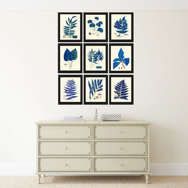 Blue Botanical Fern Print Wall Art Set of 9 Beautiful Antique Vintage Blue Interior Design Wall Hanging Gallery Home Room Decor to Frame LIN