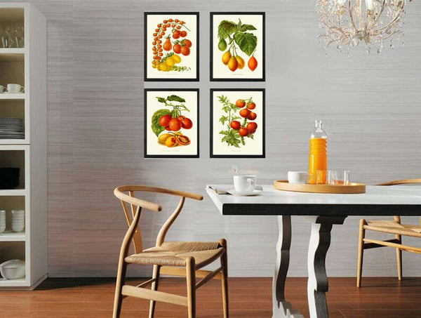 Tomato Vegetables Botanical Wall Art Print Set of 4 Beautiful Heirloom Plants Kitchen Dining Room Chef Gardening Home Decor to Frame IH