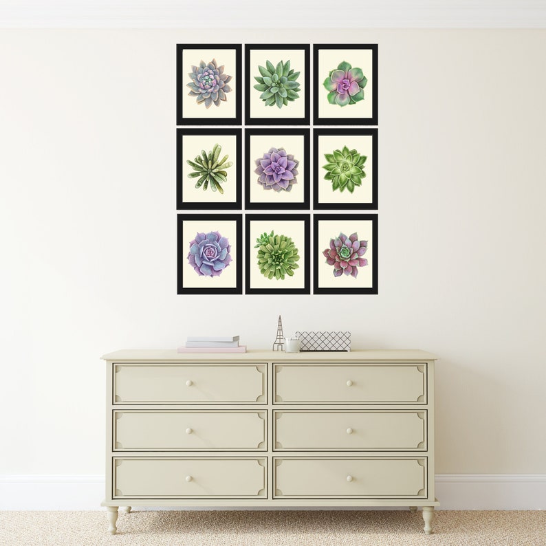 Colorful Succulents Plant Prints Wall Art Home Decor Set of 9 Beautiful Bedroom Office Playroom Kitchen Living Room Home Decor to Frame SUCC