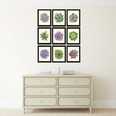 Colorful Succulents Plant Prints Wall Art Home Decor Set of 9 Beautiful Bedroom Office Playroom Kitchen Living Room Home Decor to Frame SUCC