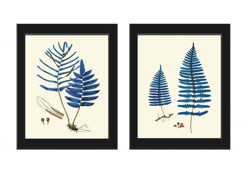Blue Fern Botanical Prints Wall Art Set of 2 Beautiful Antique Vintage Cottage Farmhouse Cabin Forest Outdoor Nature Home Decor to Frame HWB