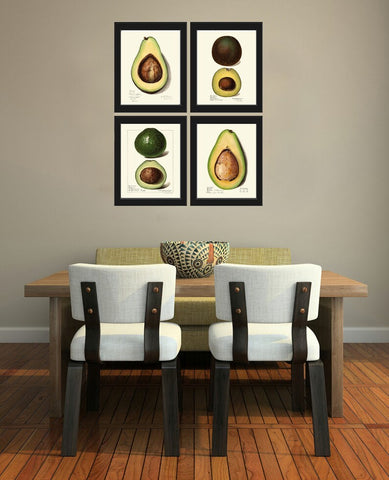 Vintage Avocado Fruit Botanical Print Wall Decor Art Set of 4 Beautiful Antique Green Vegetable Kitchen Dining Room Decor to Frame POMO