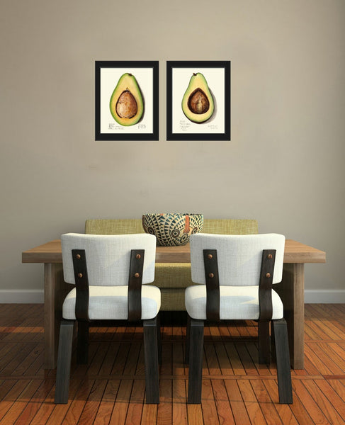 Avocado Wall Art Print Botanical Set of 2 Beautiful Vintage Fruit Vegetable Kitchen Cooking Gift Dining Room Home Room Decor to Frame POMO