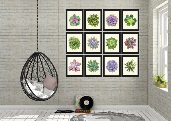 Succulent Home Decor Prints Wall Art Set of 12 Large Gallery Beautiful Colorful Cactus Flowers Botanical Watercolor Decoration to Frame SUCC
