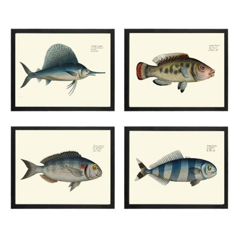 Blue Ocean Fish Wall Art Set of 4 Prints Beautiful Antique Vintage Swordfish Beach Bathroom Bedroom Coastal Marine Home Decor to Frame BL