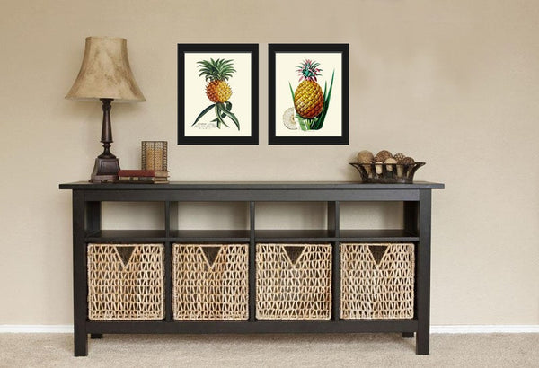 Pineapple Home Decor Wall Art Print Set of 2 Beautiful Vintage Fruit Kitchen Cooking Gift Dining Room Home Decor Illustration to Frame PINA