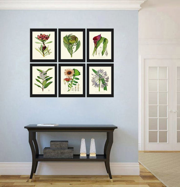 Beautiful Flower Wall Art Home Decor Pint Set 6 Green Floral Garden Nature Bedroom Dining Room Kitchen Fireplace Office Decor to Frame AFP