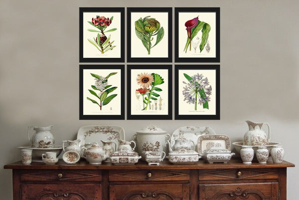 Beautiful Flower Wall Art Home Decor Pint Set 6 Green Floral Garden Nature Bedroom Dining Room Kitchen Fireplace Office Decor to Frame AFP