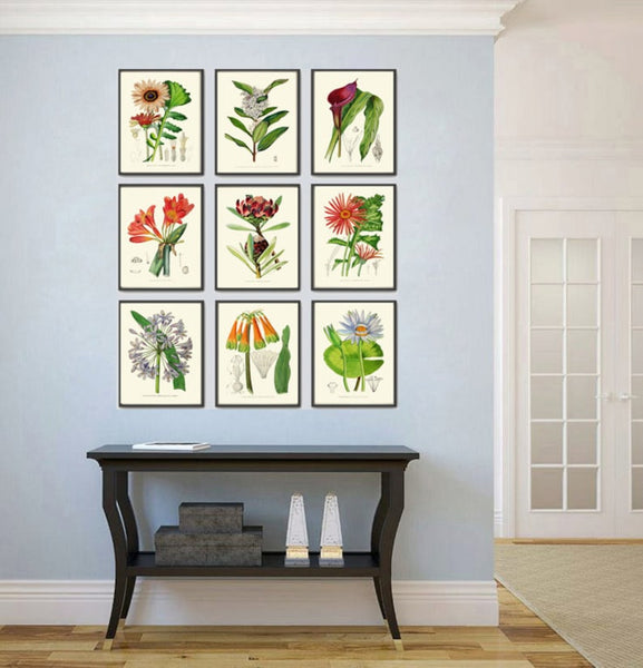 Colorful Tropical Flower Botanical Prints Wall Art Set of 9 Beautiful Watercolor Illustration Painting Large Gallery Home Decor to Frame AFP