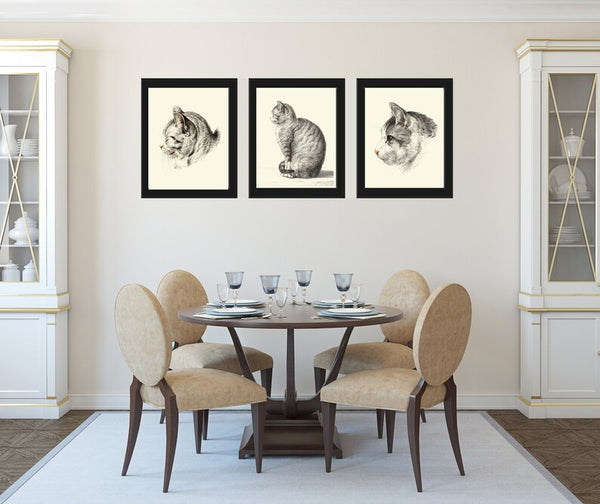 Cat Wall Art Gift Print Set of 3 Beautiful Antique Vintage Black and White Kitty Kitten Cute Pet Animal Picture Home Room Decor to Frame JB