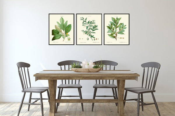 Kitchen Dining Room Wall Art Spices Herbs Bay Leaf Olive Laurel Print Set of 3 Italy Italian Cooking Chef Herb Home Decor to Frame TDA