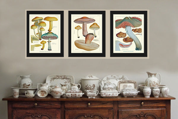 Mushroom Art Print 12 Antique Beautiful Green Forest Aqua Fungi Mushrooms Kitchen Dining Colorful Illustration Summer Home Room Wall Decor