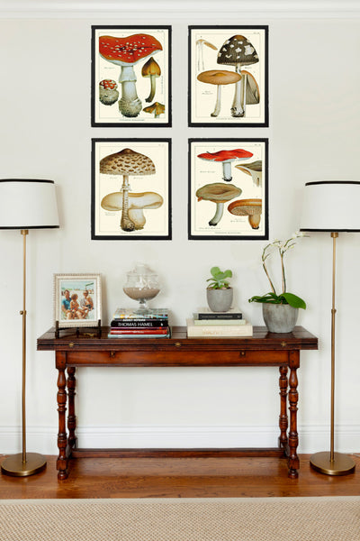 Mushroom Art Print 16 Antique Beautiful Red Beige Fungi Mushrooms Kitchen Dining Living Office Illustration Home Room Wall Decor to Frame