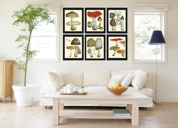 Mushroom Art Print 2 Antique Beautiful Beige Large Fungi Mushrooms Forest Nature Chart Food Cooking Chef Kitchen Dining Home Room Wall Decor