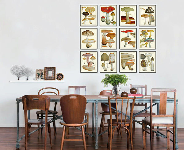 Mushroom Art Print 12 Antique Beautiful Green Forest Aqua Fungi Mushrooms Kitchen Dining Colorful Illustration Summer Home Room Wall Decor
