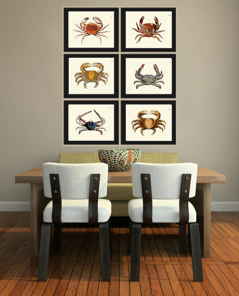 Crab Print 40 Beautiful Antique Sea Ocean Nature Beach Home Vintage Bathroom Bedroom Illustration to Frame Wall Art