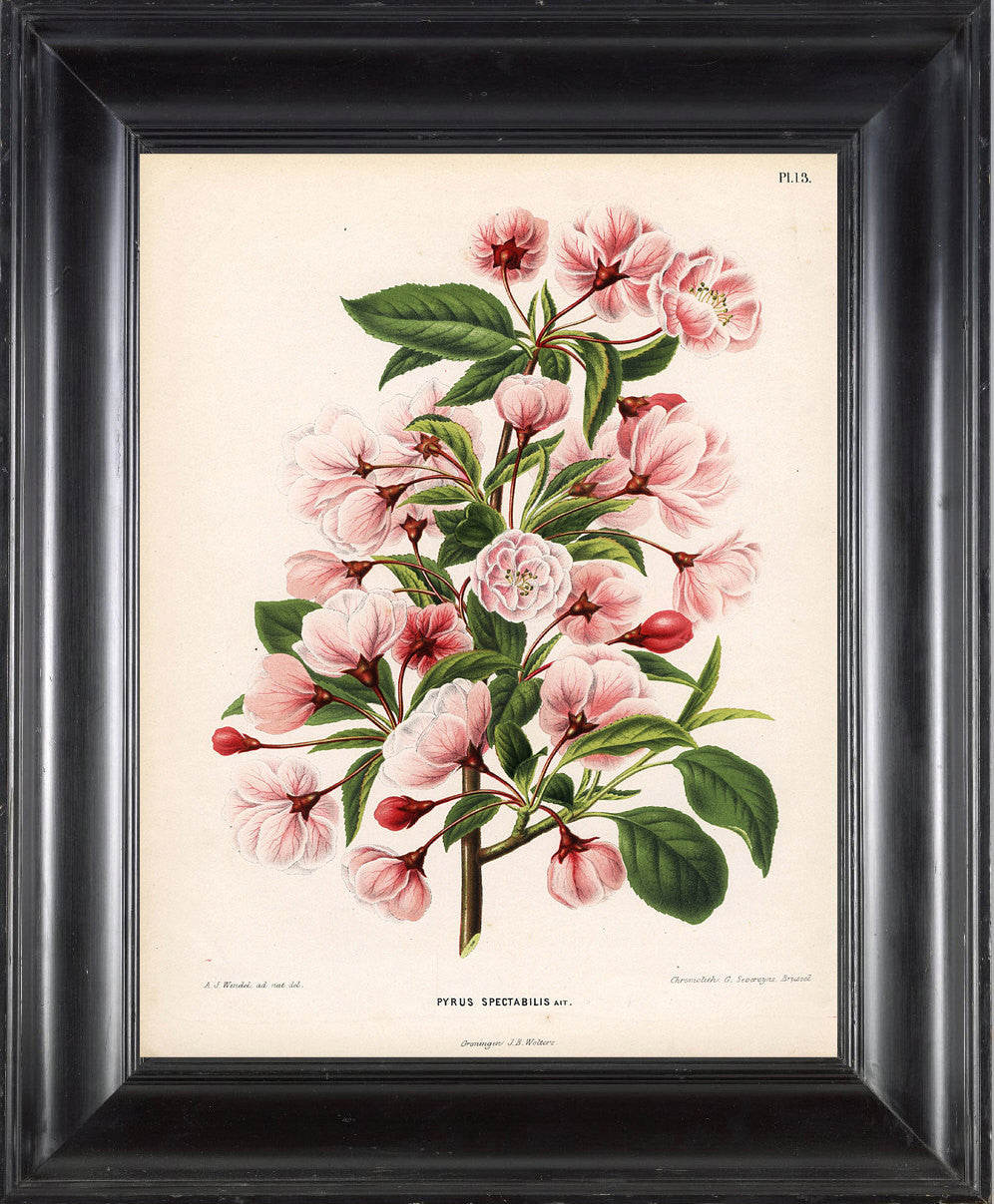 BOTANICAL ART 【import品】 il_fullxfull.355664161_9ii7.