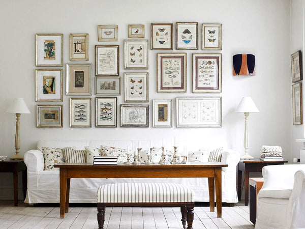 BIRD EGGS NEST  Art Print C1 Beautiful Antique Bird Eggs and Nests on Ivory Decoration Wall Hanging