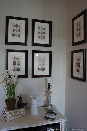 BIRD EGGS  Art Print C5 Beautiful Antique Bird Eggs Aqua White Golden Brown Chart Decoration Wall Hanging