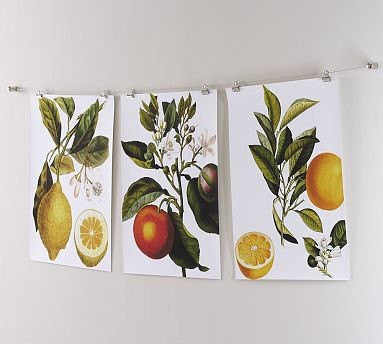 FRENCH VEGETABLE Garden  Botanical Art Print 3 Antique Beautiful Tomato Potato Salad Summer Plants Home Wall Decoration Seed Packet