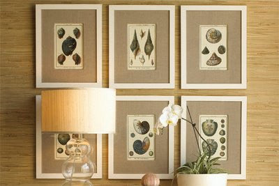 SHELL PRINT MARTINI  Art Print 3 Beautiful Antique Alatae Shells Sea Ocean Nature to Frame Home Decoration Seashell