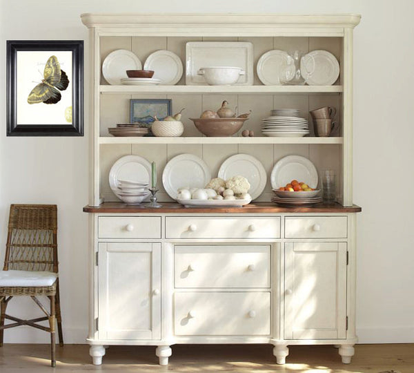 BUTTERFLY PRINT  Botanical Art Print 6 Beautiful Antique Ivory Butterfly Colorful and Detailed Interior Design Room Decoration