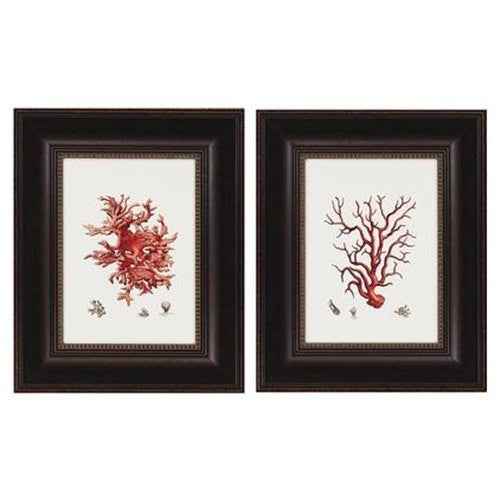 CORAL PRINT Ellis  Art Print 30 Beautiful Antique Sea Ocean Red Coral Nature to Frame Home Decoration Wall Hanging