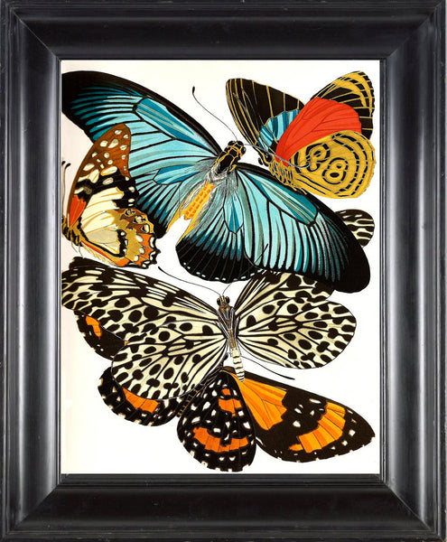 BUTTERFLY PRINT  Botanical Art Print 14 Beautiful Blue Green Orange Red Butterflies Colorful and Detailed Summer Garden Nature