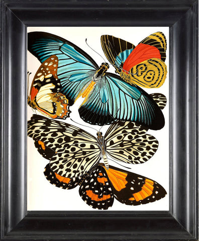 BUTTERFLY PRINT  Botanical Art Print 14 Beautiful Blue Green Orange Red Butterflies Colorful and Detailed Summer Garden Nature