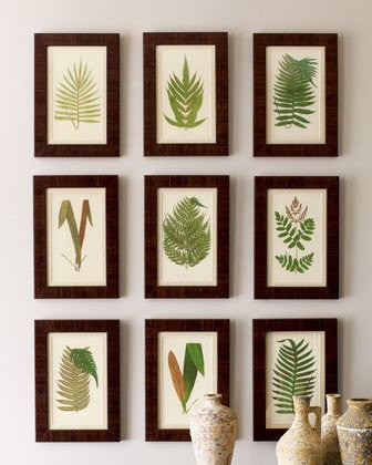 ANTIQUE FERN Lindman  Botanical Art Print 10 Antique Beautiful Green Ferns Forest Nature Natural Science to Frame Wall Decor