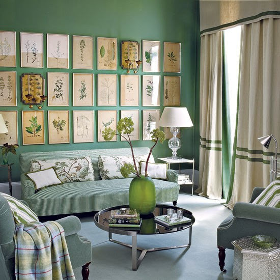 Cashew Nut Anacardium Botanical Herb Art Print 21 Kohler 8x10 Beautiful Antique Cashew Plant Chart Green Leaves Garcen Food Nature to Frame
