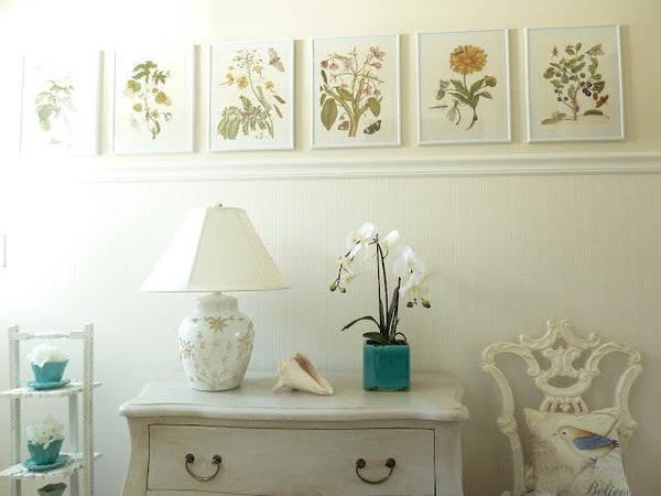BOTANICAL PRINT  Art Print W2 Beautiful Antique Marigolds Orange Flowers Illustration Plate to Frame Home Room Wall Hanging Picture