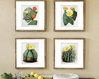 BOTANICAL PRINT  Art Print 10 Beautiful Cactus Yellow Blooming Flowers Plant Tropical Desert Illustration Greenhouse Home Decor to Frame