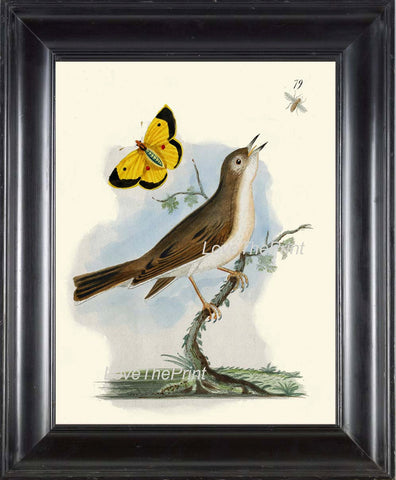 BIRD PRINT 8x10 Art B36 Beautiful Bird Bee Yellow Butterfly Tree Branch Spring Summer Forest Nature Home Room Decor Wall to Frame Picture