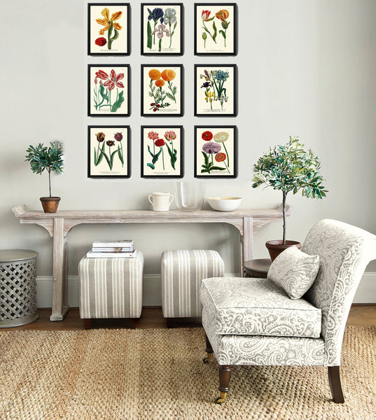 BOTANICAL PRINT  Art Print W29 Beautiful AntiqueTulips Red Flower Spring Summer Garden Plant Chart Nature to Frame Living Dining Room