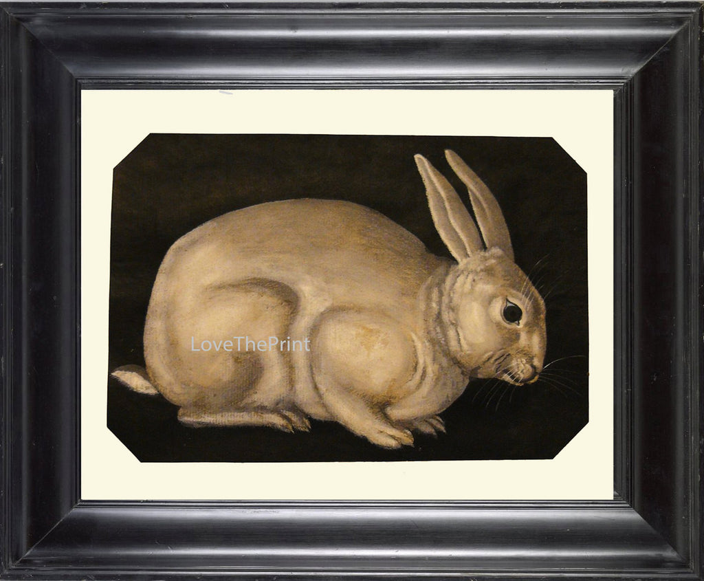 Rabbit Print  Art Print 21 Beautiful Antique Bunny Ivory White on Black Background Country Nature Farm Home Room Decoration Wall Hanging