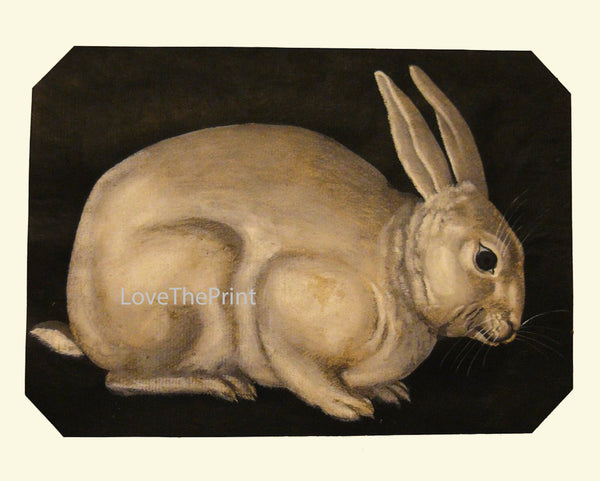 Rabbit Print  Art Print 21 Beautiful Antique Bunny Ivory White on Black Background Country Nature Farm Home Room Decoration Wall Hanging